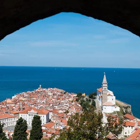 Istrian Hideaway Anton - Happy *